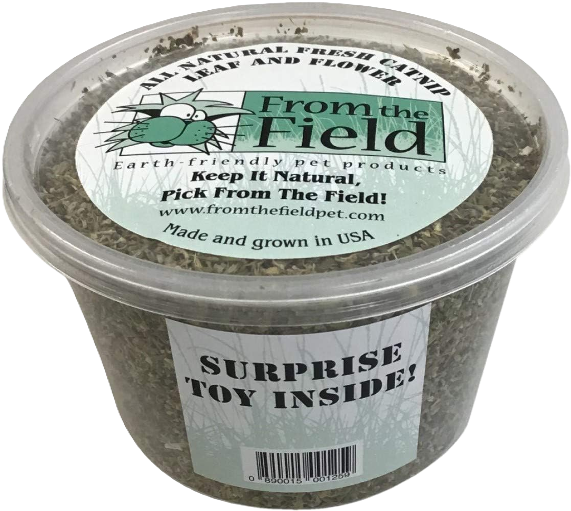 Catnip Leaf & Flower With Surprise Cat Toy Inside - 2oz tub