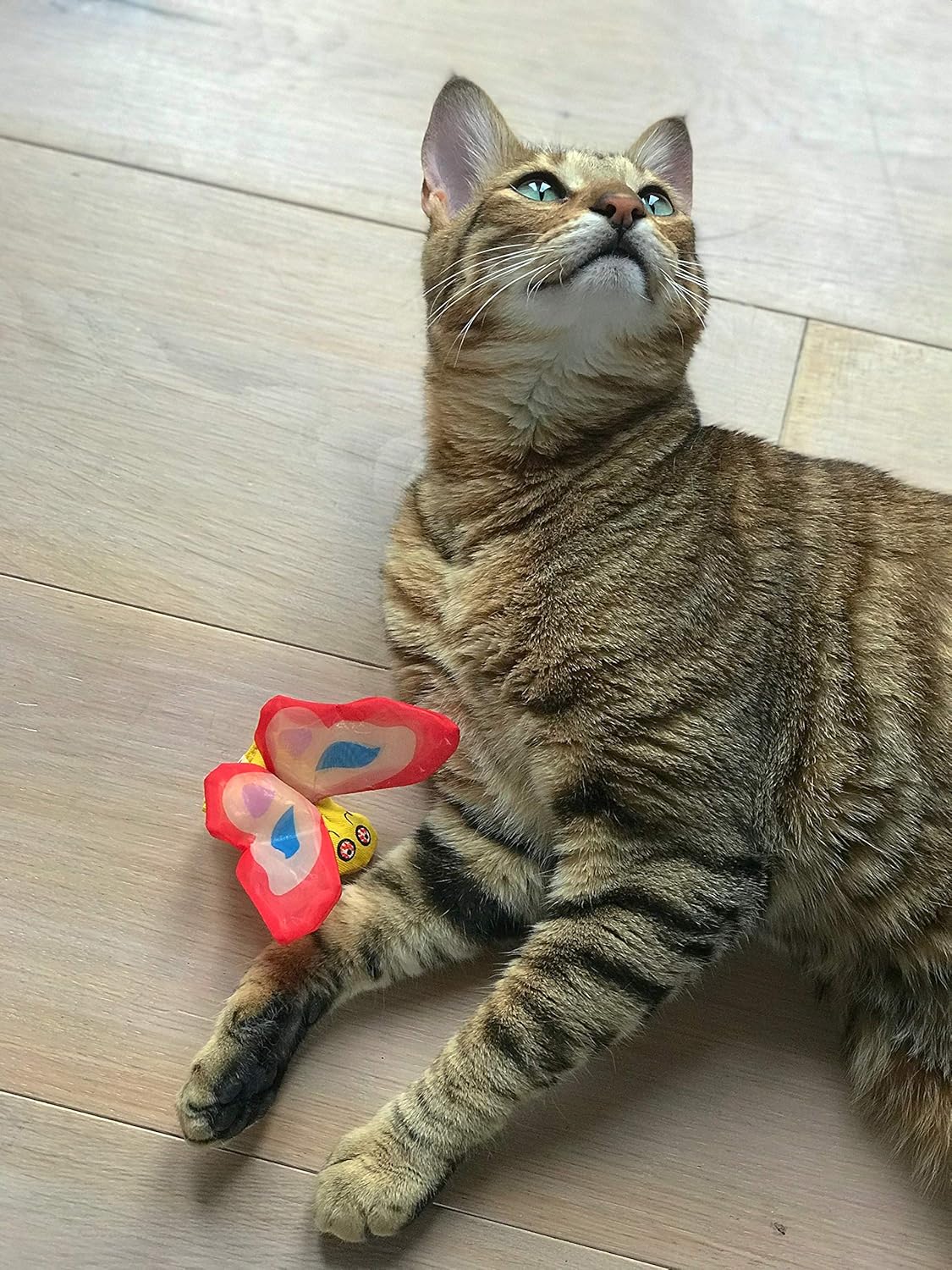 Yeowww! Catnip Cat Toys