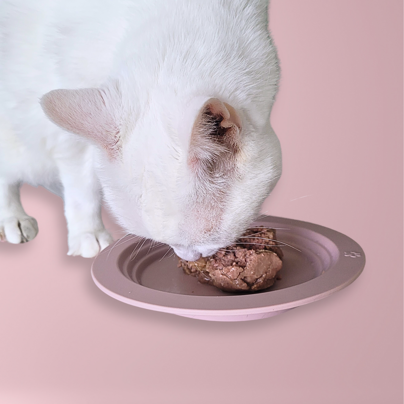 Whisker Friendly Cat Food Dish, Silicone, Shallow, Non Slip, Cat Dog Kitten Feeding Dish