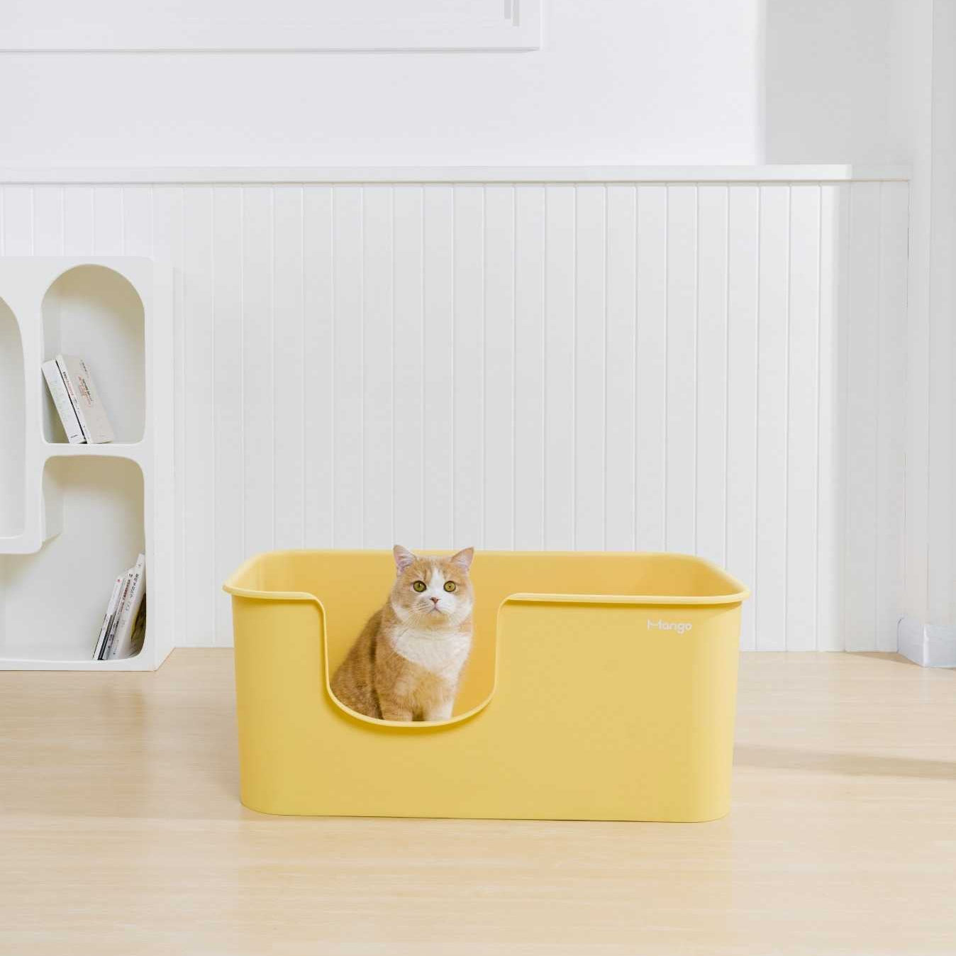 XXL Long Litter Box (Double Extra Large)