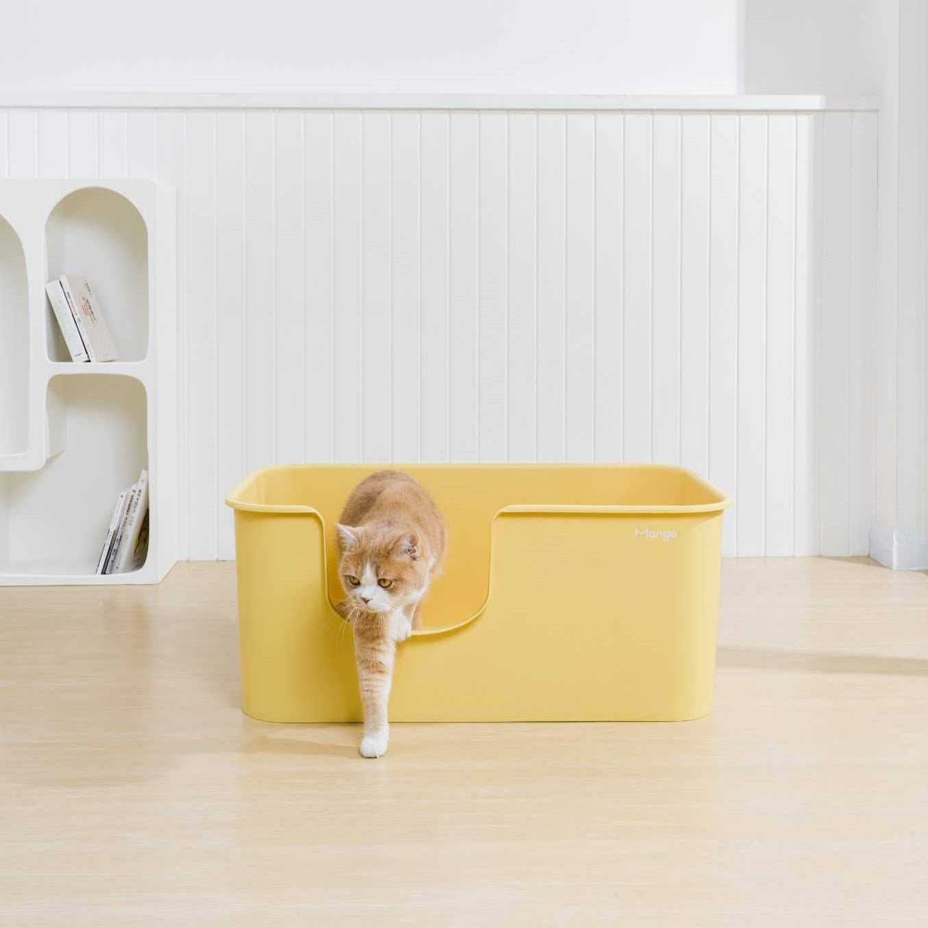 XXL Long Litter Box (Double Extra Large)