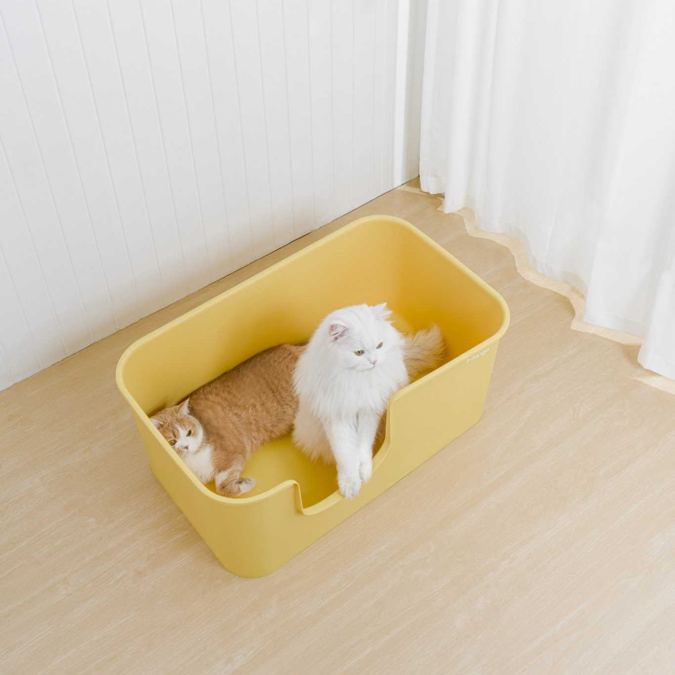XXL Long Litter Box (Double Extra Large)