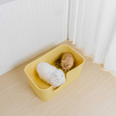 XXL Long Litter Box (Double Extra Large)