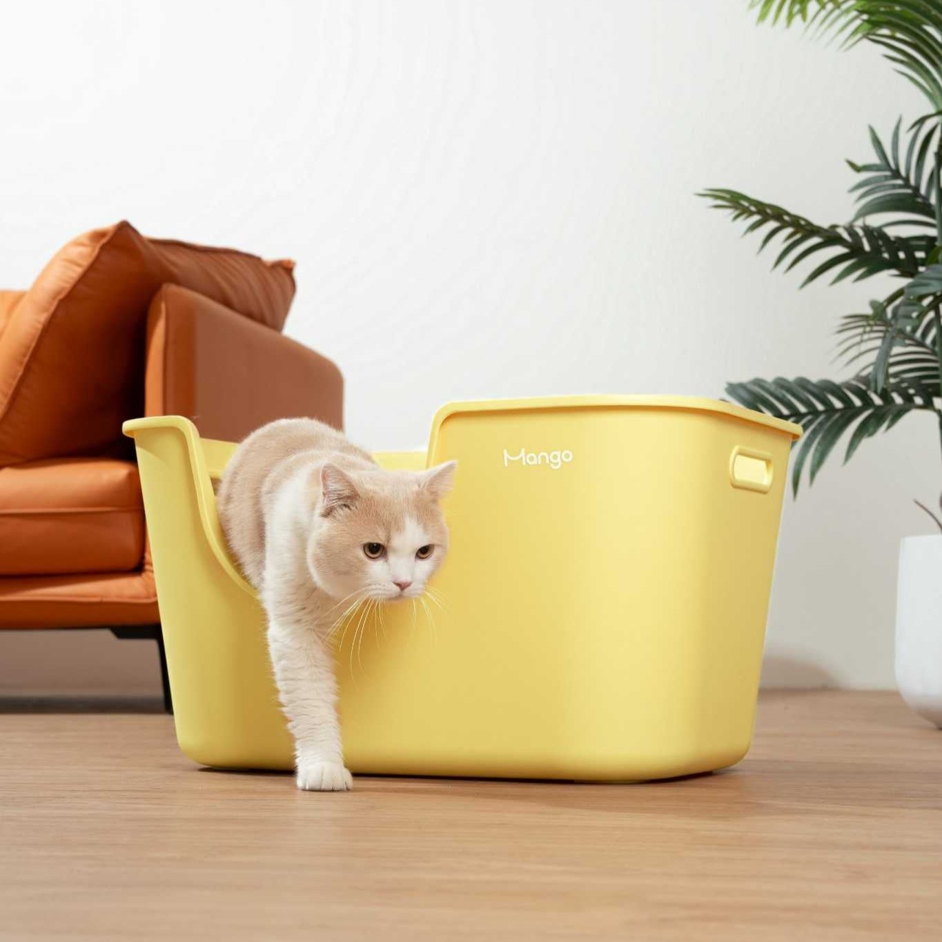 XL Long Litter Box
