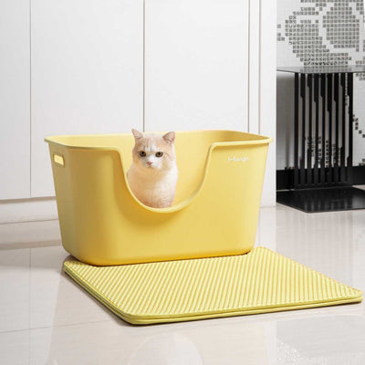 XL Long Litter Box