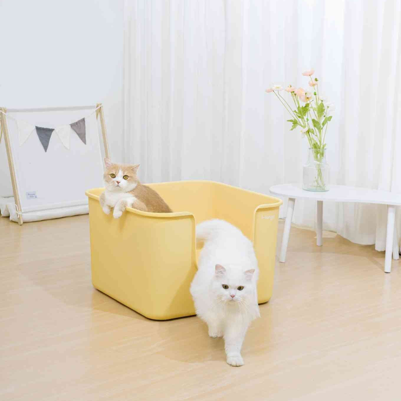 XXL Cube Litter Box (Double Extra Large)