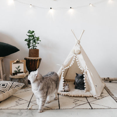 Bohemian Pom-Pom Teepee for Cats and Dogs