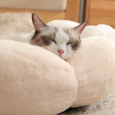 Petal Pouf Cat Bed - Color Options